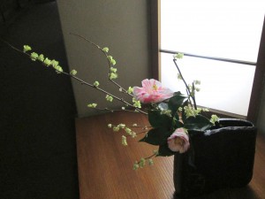 IMG_0309_1_1