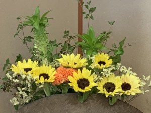 2025.7.31花3