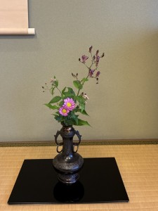 IMG_0486
